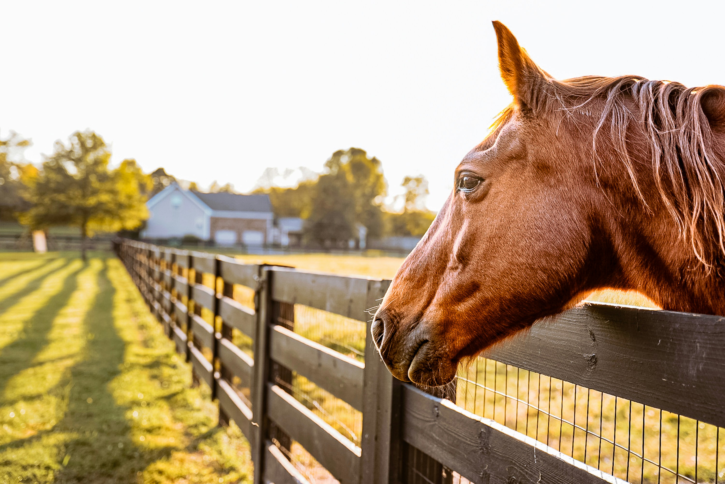 Tennessee countryside